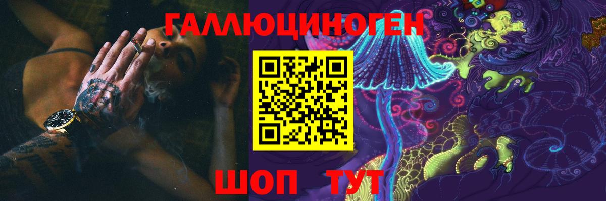 Реж  Галлюциногенные грибы GOLDEN TEACHER  Галлюциногенные грибы MAGIC MUSHROOMS  Вход с VPN 