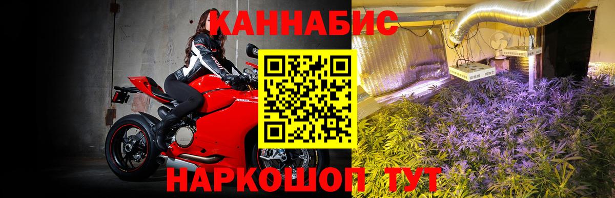Бошки марихуана MAZAR  Марихуана планчик  Вход с VPN  Реж 